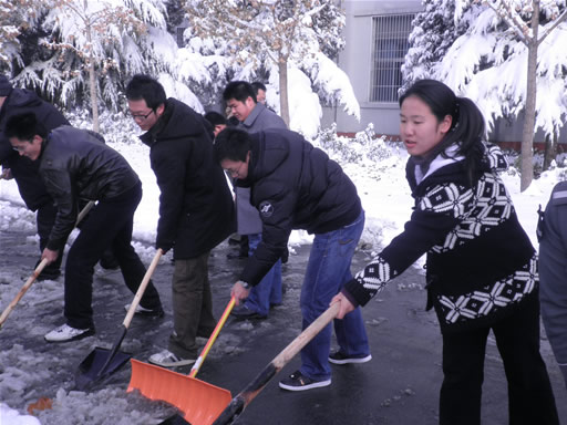 中心员工积极参加扫雪